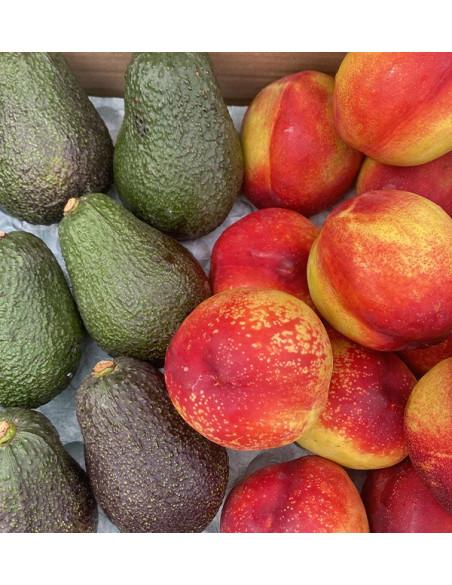Acheter Avocats Hass et Nectarines en Ligne | Tropitop