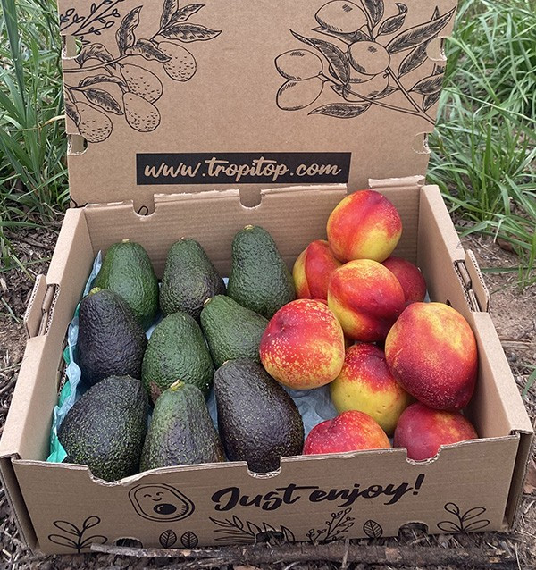 Acquista Avocado Hass e Nettarine Online | Tropitop