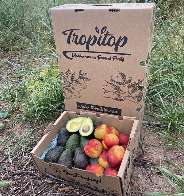 Avocados Hass und Nektarinen Online Kaufen | Tropitop