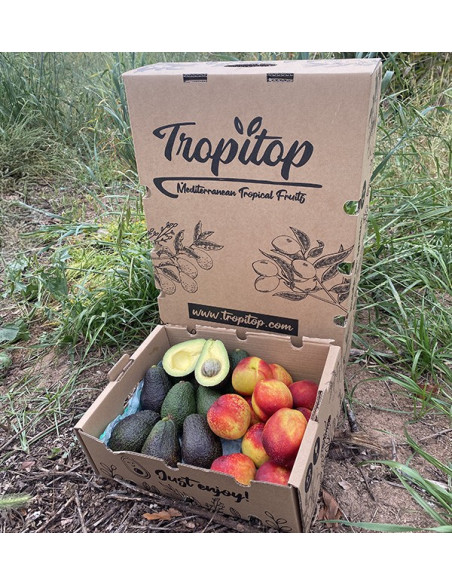 Avocados Hass und Nektarinen Online Kaufen | Tropitop
