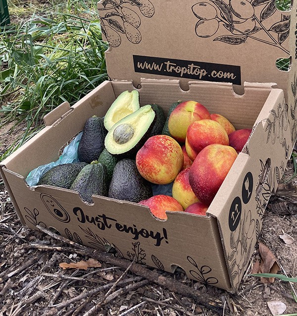 Avocados Hass und Nektarinen Online Kaufen | Tropitop