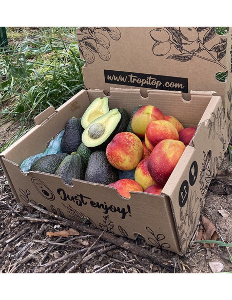 Avocados Hass und Nektarinen Online Kaufen | Tropitop