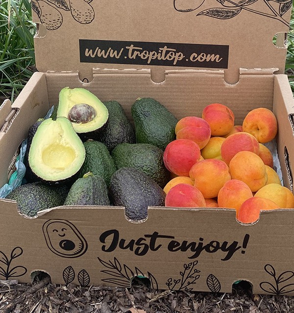 Acquista Avocado Hass e Albicocche Online | Tropitop 2