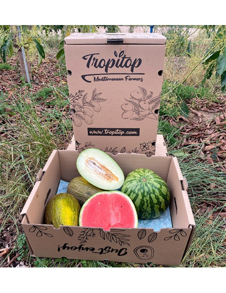 Comprar Sandía Rayada y Melones Piel de Sapo Online | Tropitop