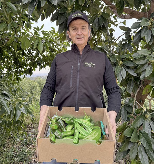 Buy Italian Red Peppers Online at Tropitop