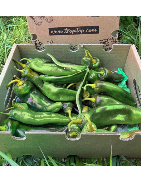 Buy Italian Red Peppers Online at Tropitop