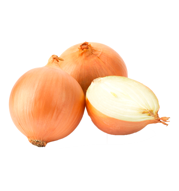 Buy White Dried Onions Online at Tropitop