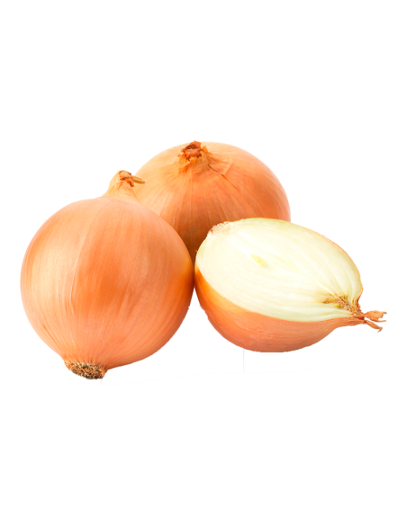 Acheter des Oignons Secs Blancs en Ligne sur Tropitop