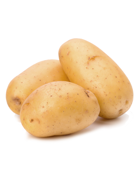 Neue Weiße Kartoffeln Online bei Tropitop kaufen