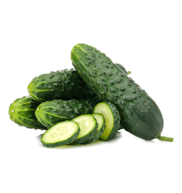 Comprar Pepino Curto Online na Tropitop