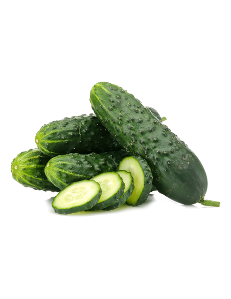 Comprar Pepino Curto Online na Tropitop