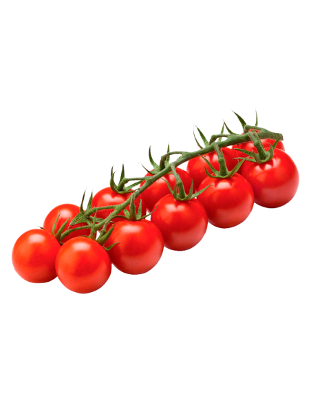 Online Kirschtomaten an der Traube kaufen