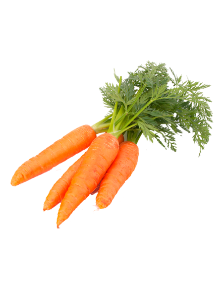 Buy Bunch Carrots Online at Tropitop