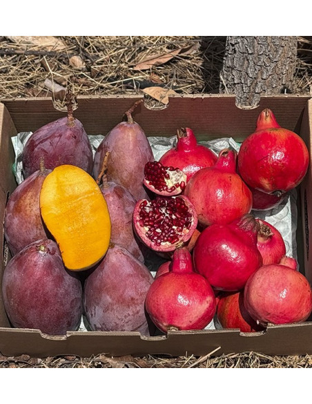 Comprare melagrana e mango online su Tropitop