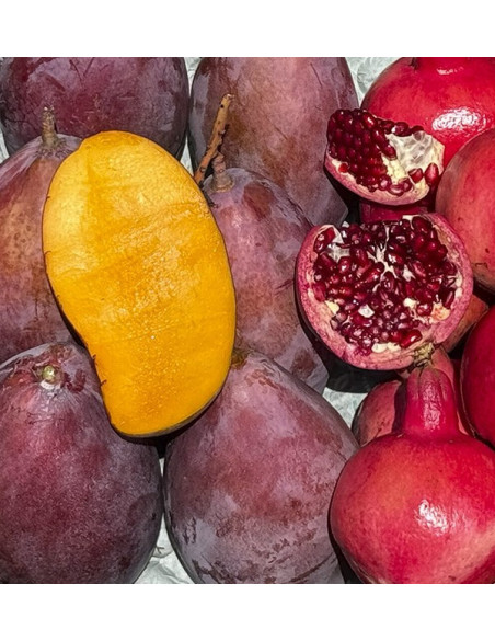 Acheter grenade et mangue en ligne sur Tropitop