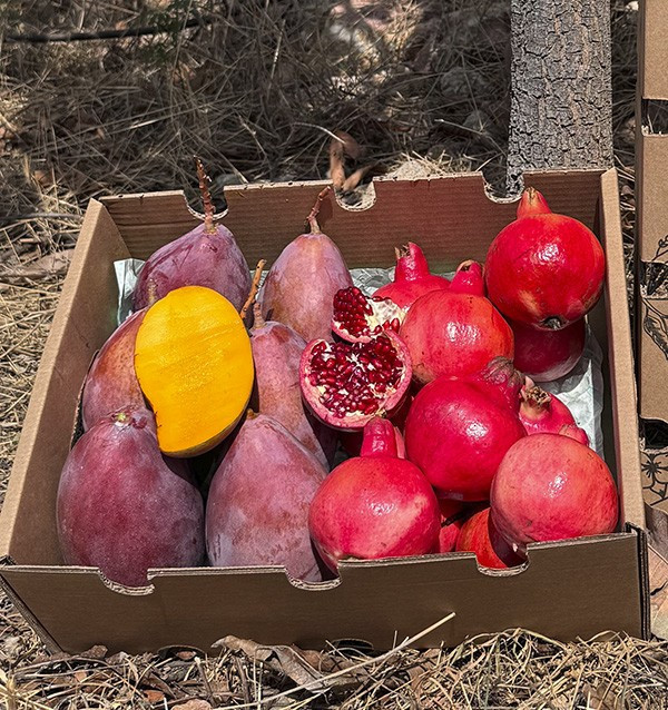 Buy pomegranate and mango online at Tropitop