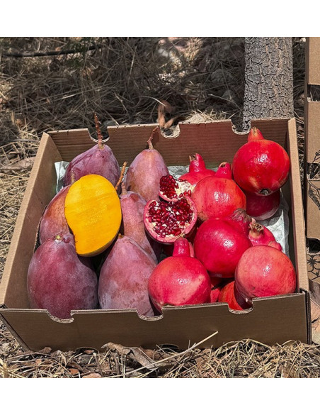 Granatapfel und Mango online bei Tropitop kaufen