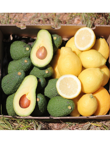 Zitronen und Avocados online zum besten Preis