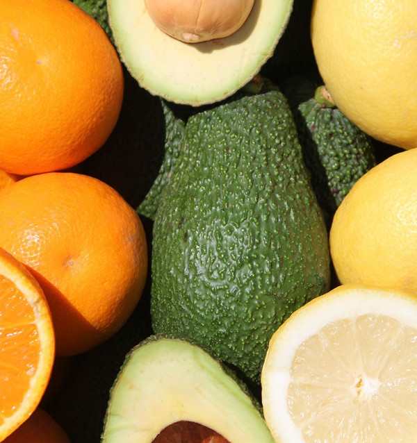 Frühstück mit Avocados: Paket Avocados, Zitronen und Orangen