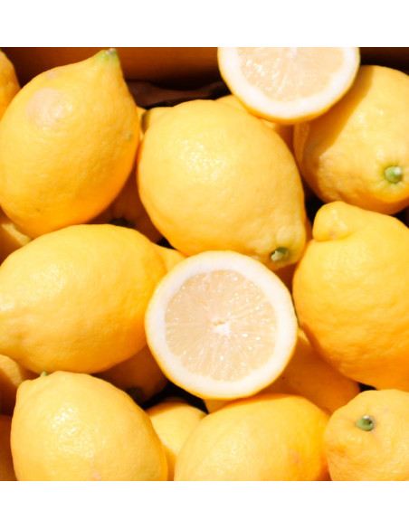 Comprare Limoni Online | Limoni Freschi Direttamente dal Campo
