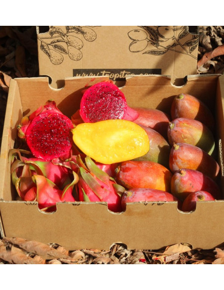 Drachenfrucht und Mango