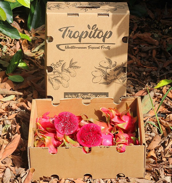 Buy Pitahayas Online | Fresh Dragon Fruit Bursting with Flavor