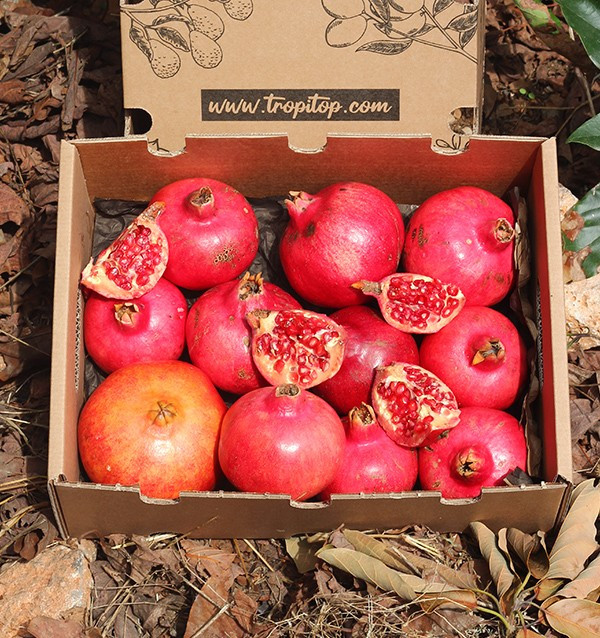 Buy pomegranates online at Tropitop