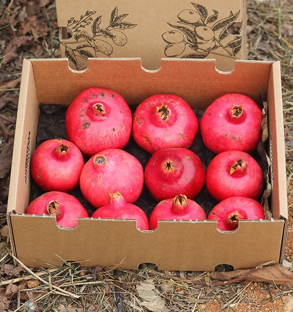 Buy pomegranates online at Tropitop