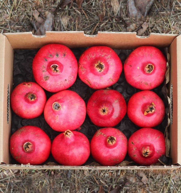 Buy pomegranates online at Tropitop
