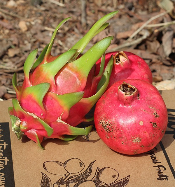 Comprare melagrane e pitaya online su Tropitop 2