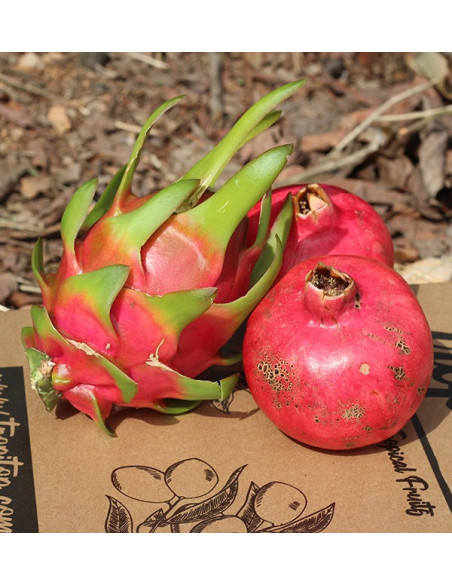Comprare melagrane e pitaya online su Tropitop