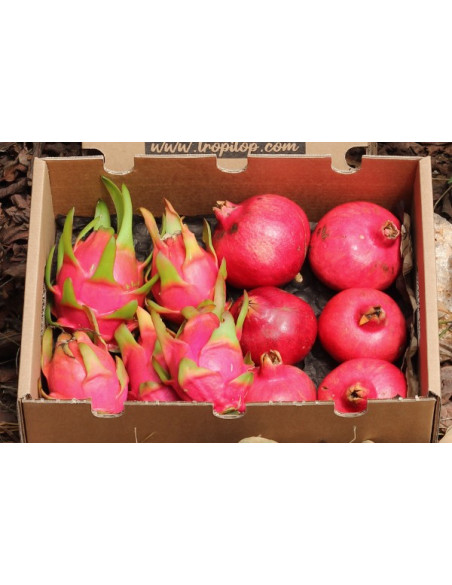 Buy pomegranates and pitahayas online at Tropitop