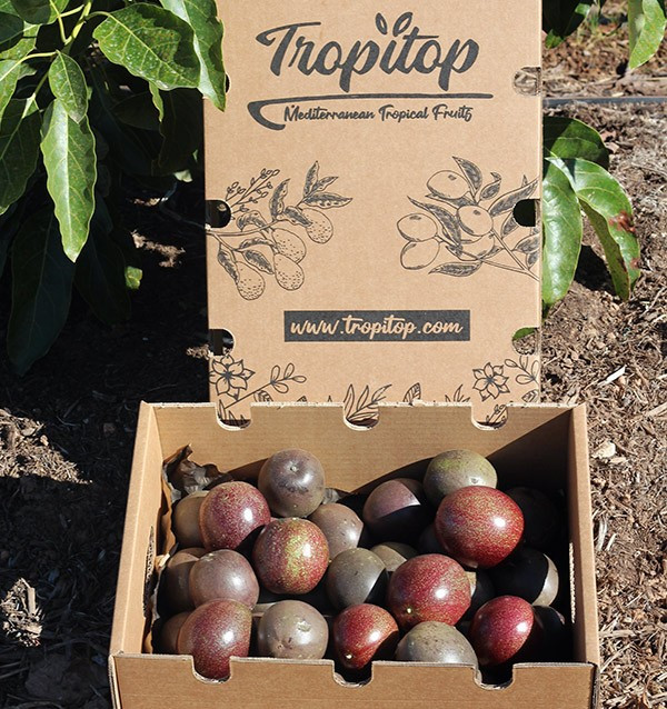 Comprar Fruta da Paixão (Maracujá) online