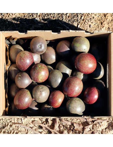 Acheter Fruit de la Passion en ligne