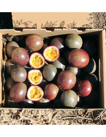 Acheter Fruit de la Passion en ligne