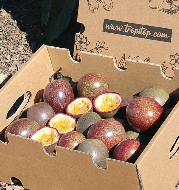 Passionsfrucht online kaufen