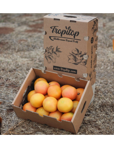 Comprar Pomelos online del campo a tu casa