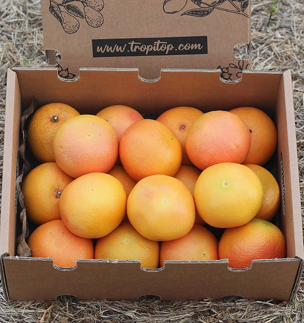 Comprare pompelmi online -  Tropitop