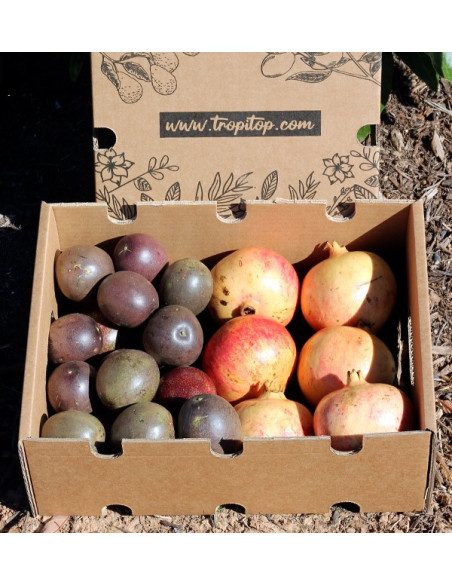 Buy passion fruit and pomegranates online at Tropitop