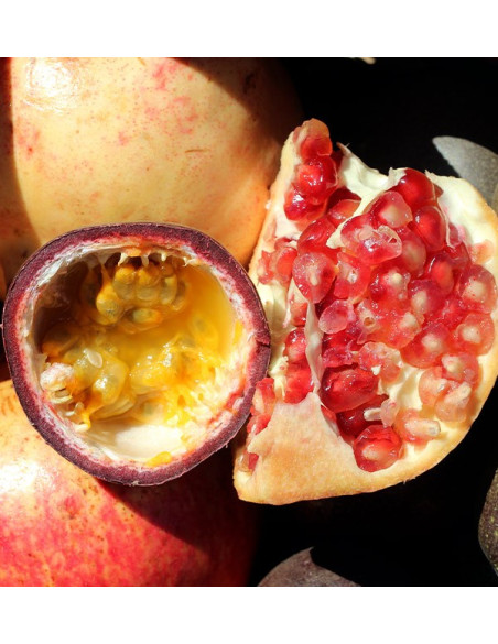 Comprare frutta della passione e melograni online su Tropitop