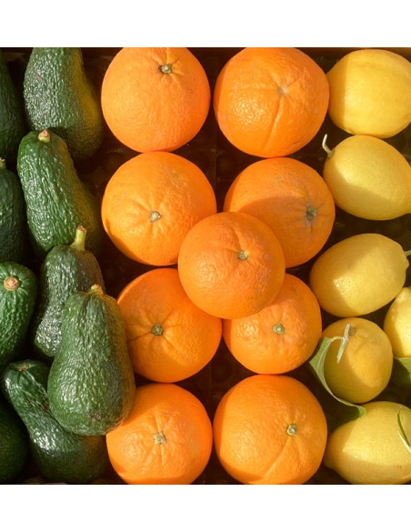 Pequeno almoço com abacates: abacates, laranjas e limões