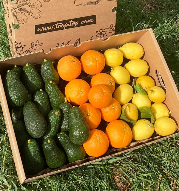 Pequeno almoço com abacates: abacates, laranjas e limões