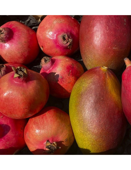 Comprare melagrana e mango online su Tropitop