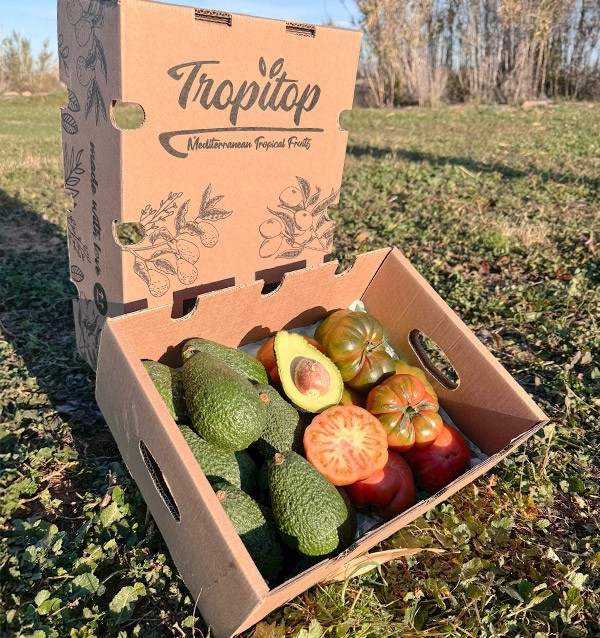 Comprar Aguacate Hass y Tomate Raf Online en Tropitop
