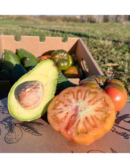 Compre Abacate Hass e Tomate Raf Online na Tropitop