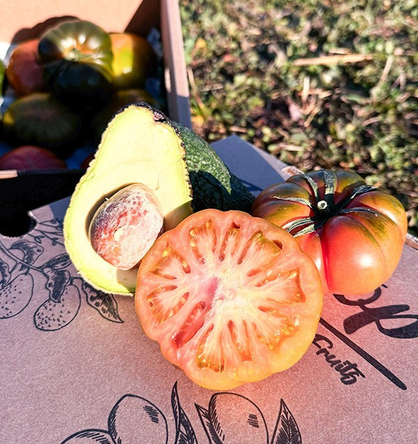 Comprar Aguacate Hass y Tomate Raf Online en Tropitop