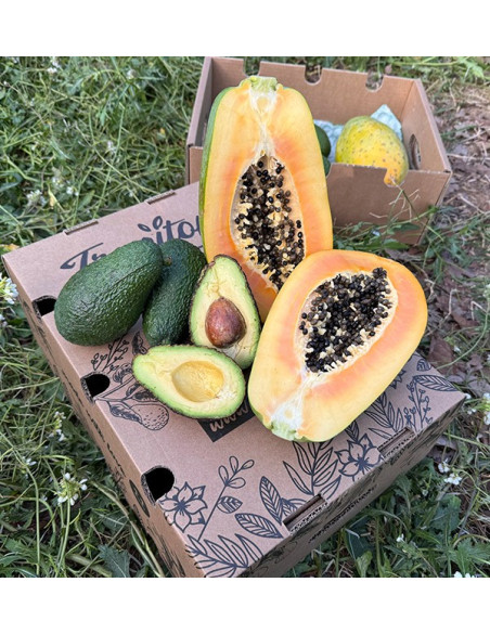 Comprar Abacate Hass e Mamão | Sabor Cremoso e Exótico na Tropitop