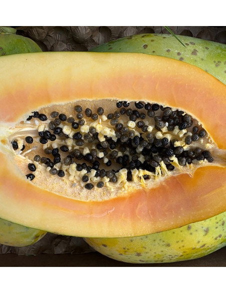 Papayas online kaufen | Entdecken Sie den exotischen Geschmack und die gesundheitlichen Vorteile