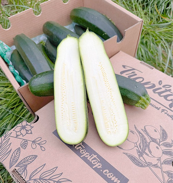 Buy Green or Black Zucchini Online at Tropitop
