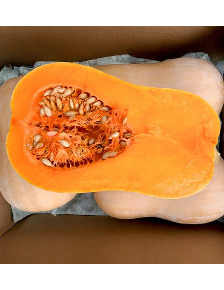 Buy Butternut Squash Online at Tropitop